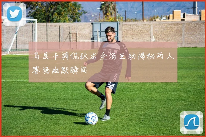 乌度卡调侃狄龙全场互动揭秘两人赛场幽默瞬间