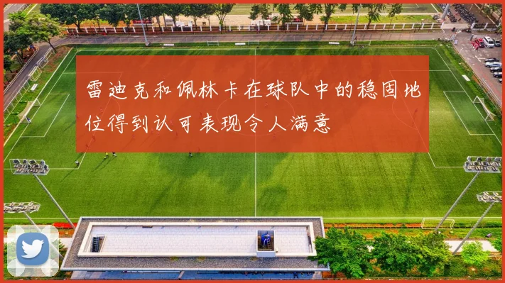 雷迪克和佩林卡在球队中的稳固地位得到认可表现令人满意
