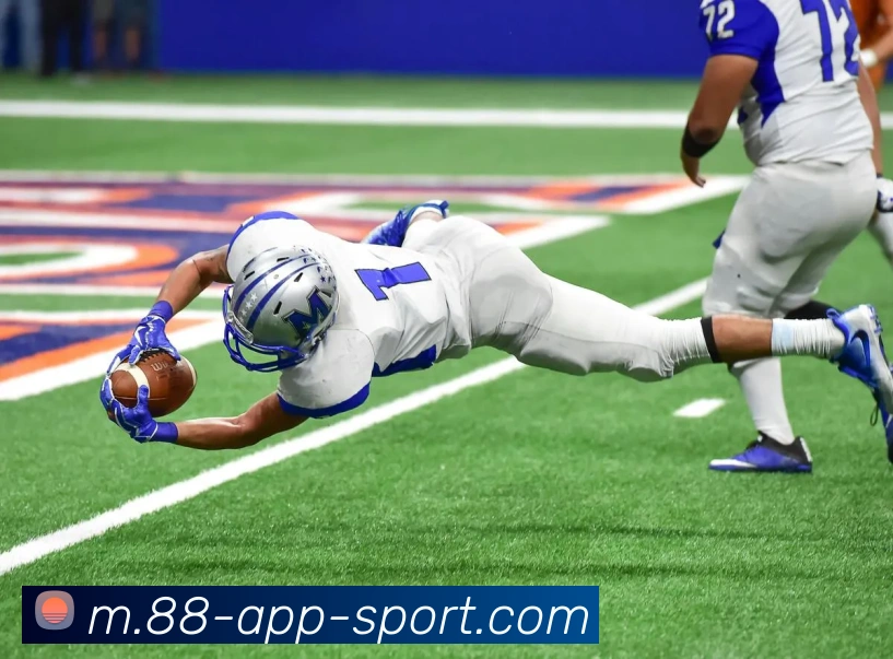 88体育APP 封面图